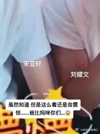 刘耀文塞宋亚轩振动背后的真相:他们为何产生共振?原因及解读