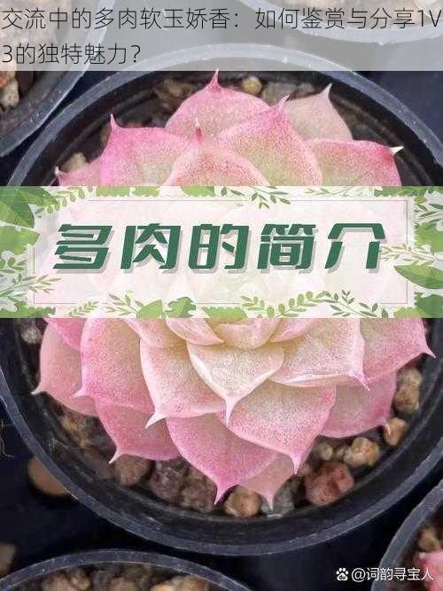 交流中的多肉软玉娇香:如何鉴赏与分享1V3的独特魅力?