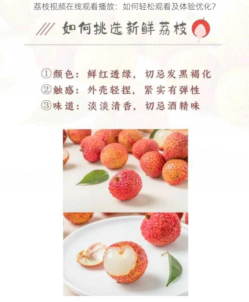 荔枝视频在线观看播放:如何轻松观看及体验优化?