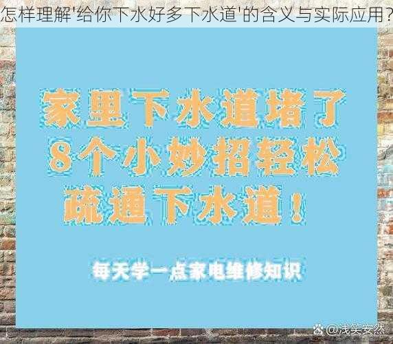 怎样理解'给你下水好多下水道'的含义与实际应用?