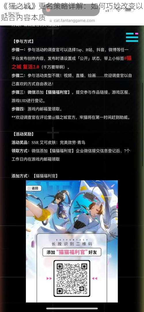 《猫之城》更名策略详解:如何巧妙改变以贴合内容本质