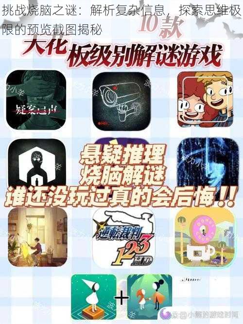挑战烧脑之谜:解析复杂信息,探索思维极限的预览截图揭秘